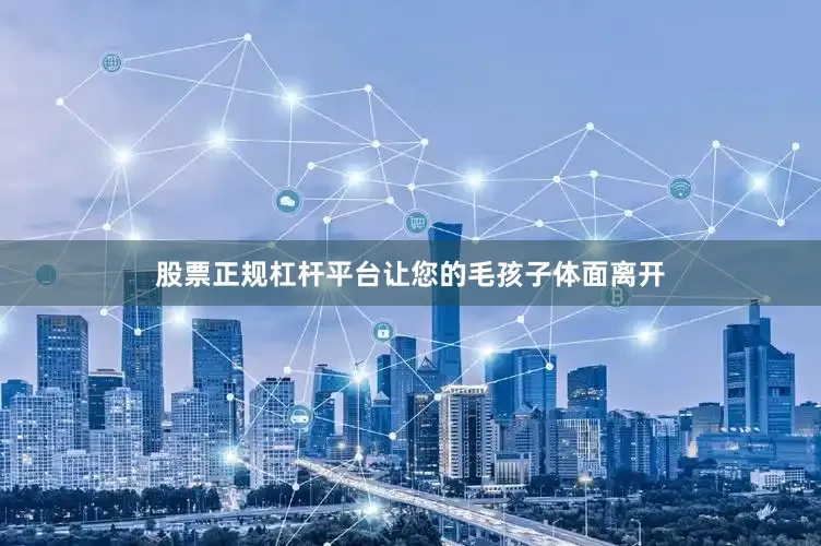 股票正规杠杆平台让您的毛孩子体面离开