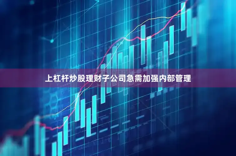上杠杆炒股理财子公司急需加强内部管理